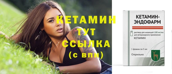 ГАЛЛЮЦИНОГЕННЫЕ ГРИБЫ Гусев