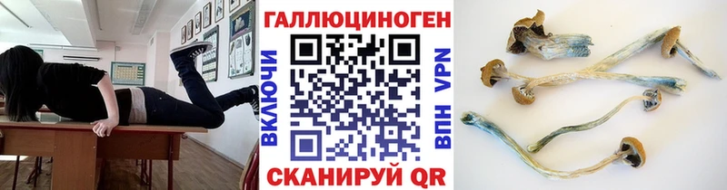 Псилоцибиновые грибы Cubensis  цены   hydra ссылка  Приморск 